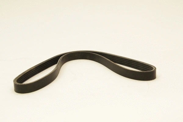 V-Ribbed Belt (5PK925)