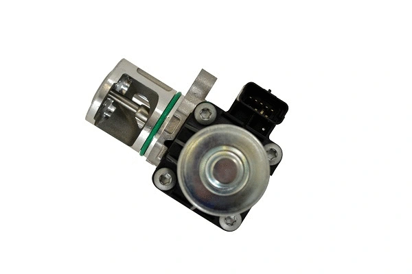 EGR Valve (50063z)