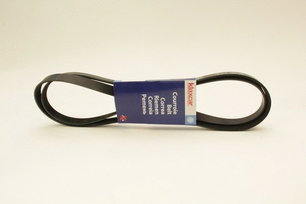V-Ribbed Belt (5PK1888)