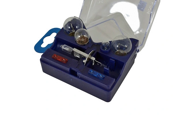 Bulbs Assortment (86378z)