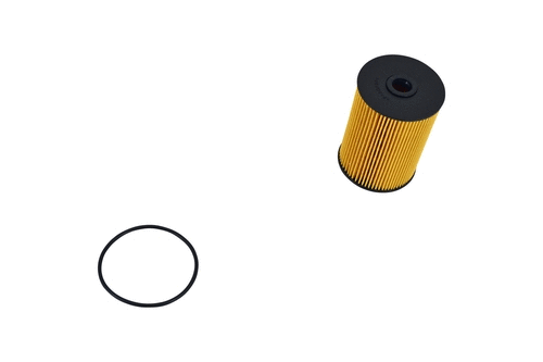 Fuel Filter (FE042z)