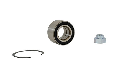 Wheel Bearing Kit (22116z)