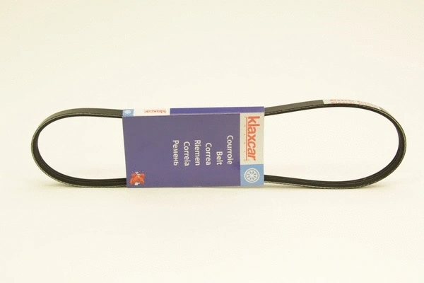 V-Ribbed Belt (3PK825)