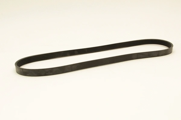 V-Ribbed Belt (5PK1025)
