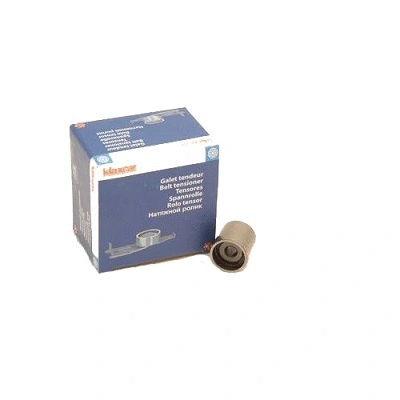 Deflection/Guide Pulley, timing belt (RX21004)