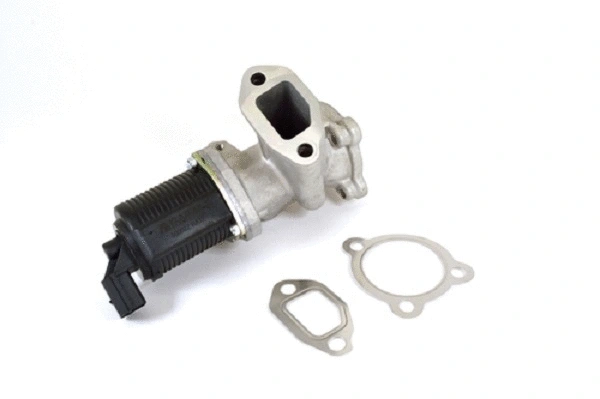 EGR Valve (50002z)