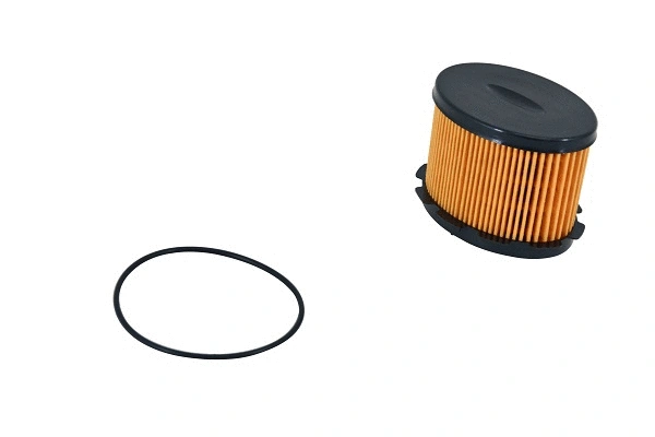 Fuel Filter (FE018z)