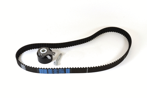 Timing Belt Kit (40142z)