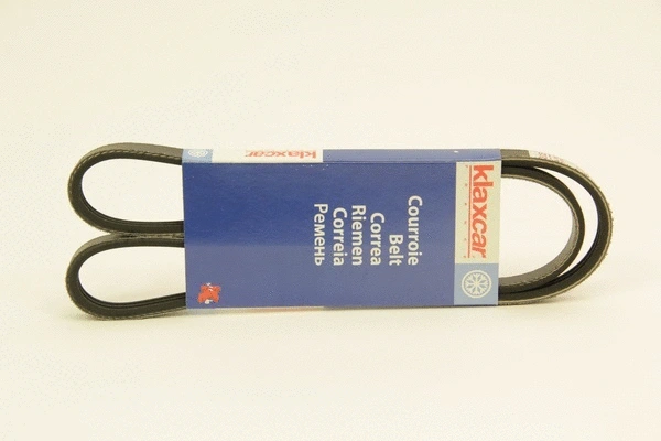 V-Ribbed Belt (3PK1040)
