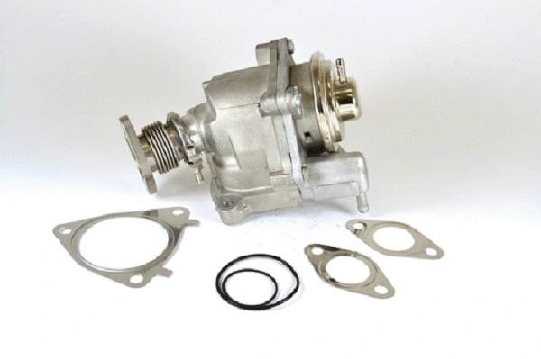 EGR Valve (50050z)