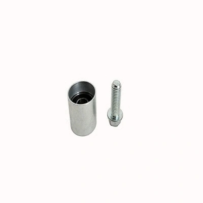 Deflection/Guide Pulley, timing belt (RX21220)