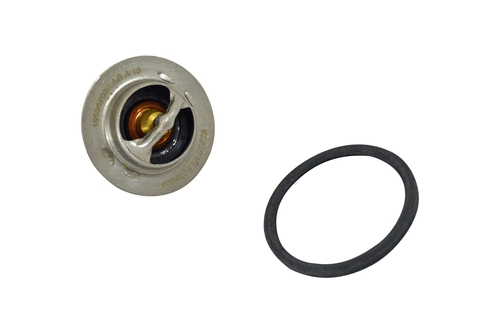 Thermostat, coolant (15604789z)