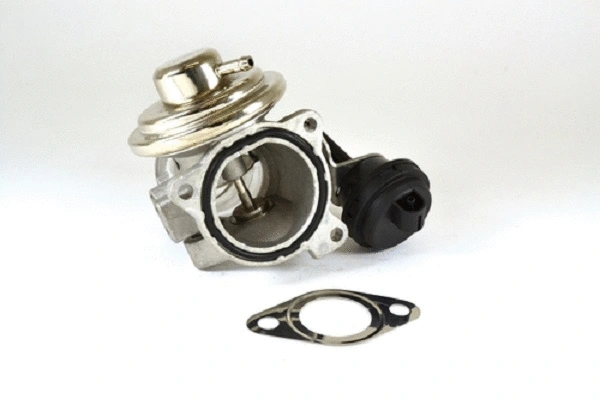 EGR Valve (50037z)