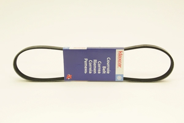 V-Ribbed Belt (4PK825)