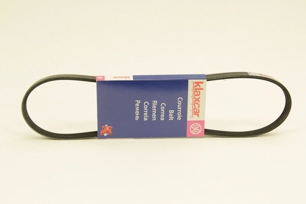 V-Ribbed Belt (3PK775)