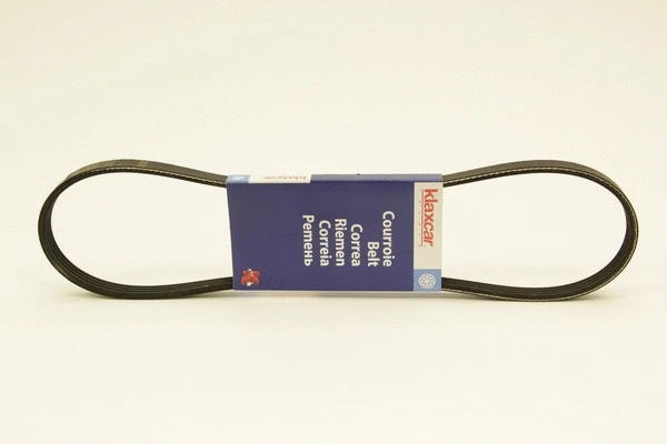 V-Ribbed Belt (4PK880)