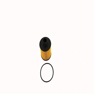 Oil Filter (FH107z)