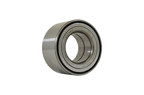 Wheel Bearing Kit (22058z)