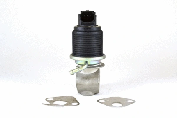 EGR Valve (50020z)