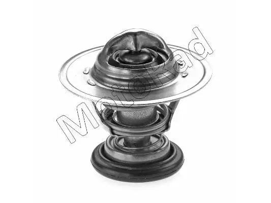 Thermostat, coolant (236-82)