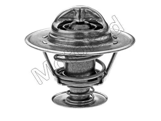 Thermostat, coolant (229-82)