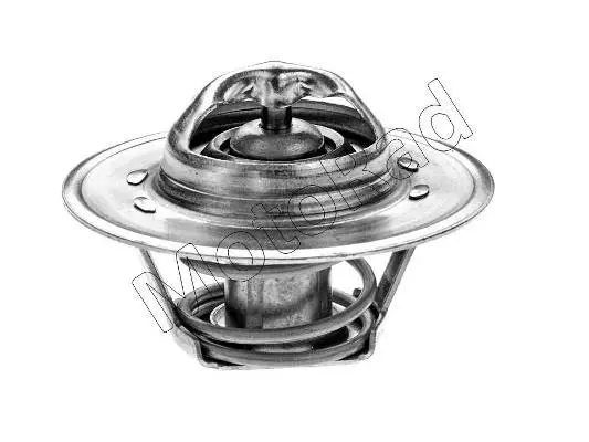 Thermostat, coolant (300-82)