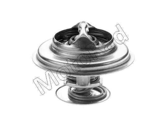 Thermostat, coolant (263-79)
