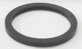 Seal, thermostat (MG267)