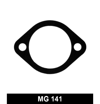 Seal, thermostat (MG141)