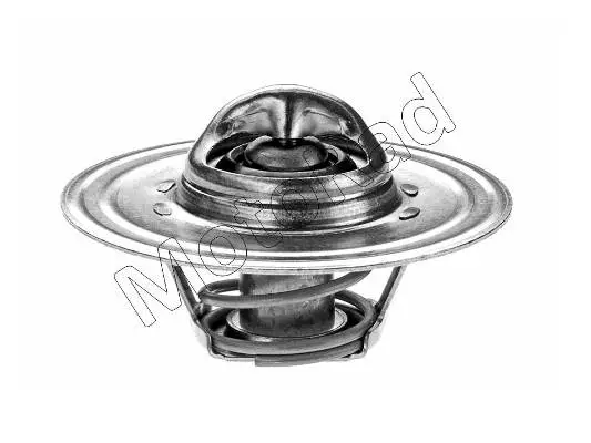 Thermostat, coolant (206-82)
