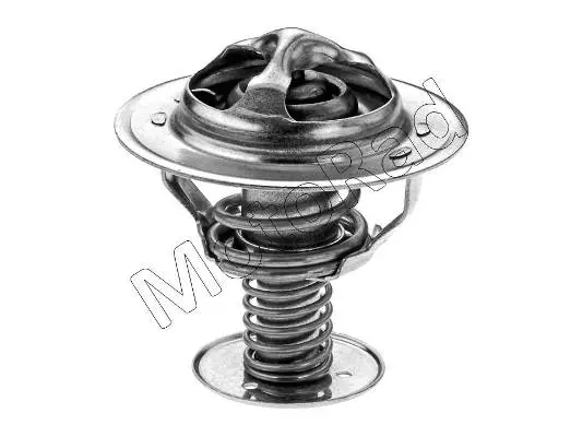 Thermostat, coolant (338-91)