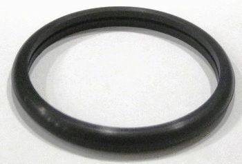 Seal, thermostat (MG473)