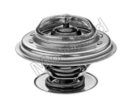 Thermostat, coolant (579-88JK)