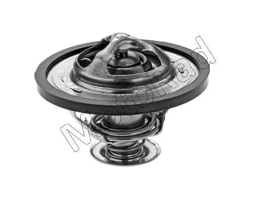 Thermostat, coolant (390-91K)