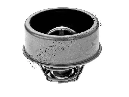 Thermostat, coolant (238-75K)