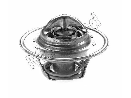 Thermostat, coolant (200-87)
