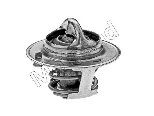 Thermostat, coolant (202-92JK)