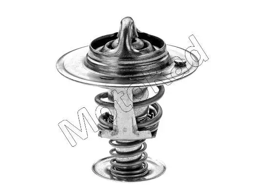 Thermostat, coolant (319-82)