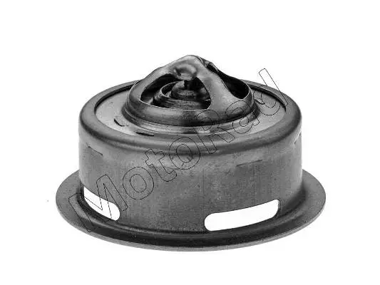 Thermostat, coolant (245-88K)