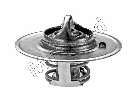 Thermostat, coolant (209-79J)