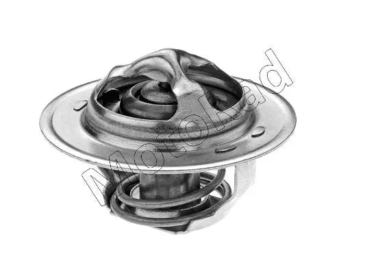 Thermostat, coolant (2000-88)