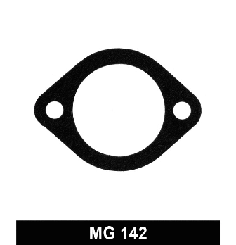 Seal, thermostat (MG142)