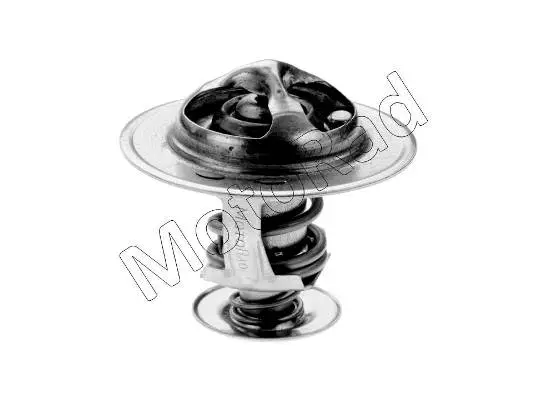 Thermostat, coolant (373-82K)