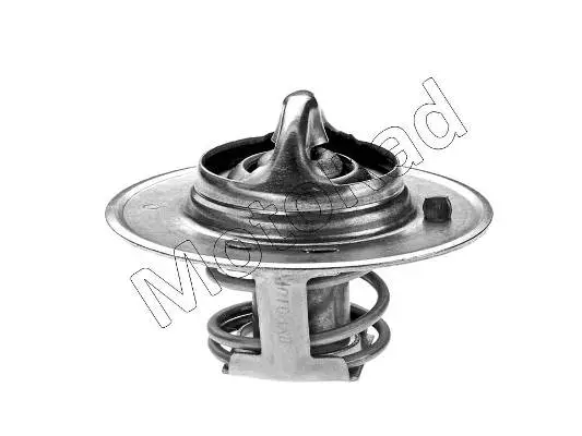 Thermostat, coolant (276-91JK)