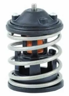 Thermostat, coolant (544-87 InsK)