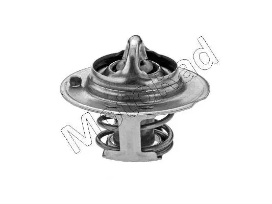 Thermostat, coolant (419-82)