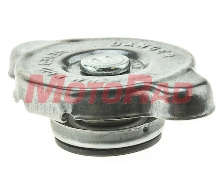 Cap, radiator (T16R2)