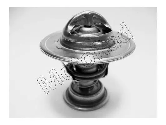 Thermostat, coolant (594-85)