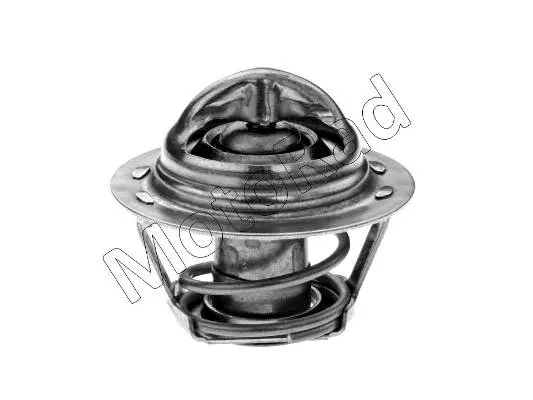 Thermostat, coolant (266-82)