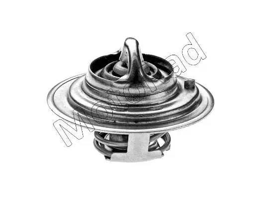 Thermostat, coolant (244-88K)